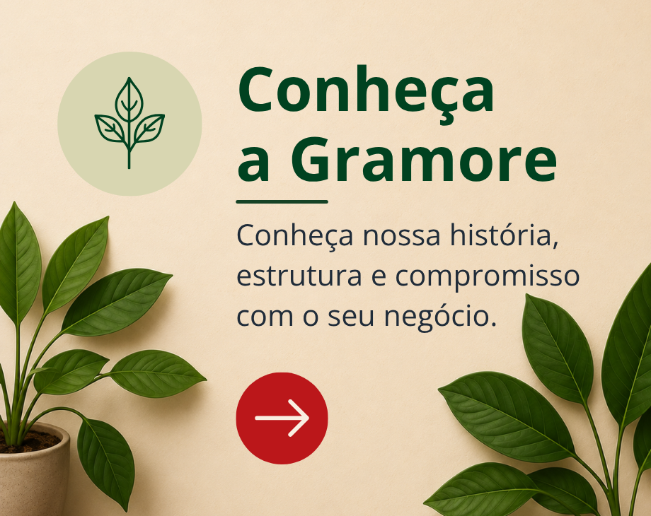 Conheça a Gramore — Conheça nossa história, estrutura e compromisso com o seu negócio.